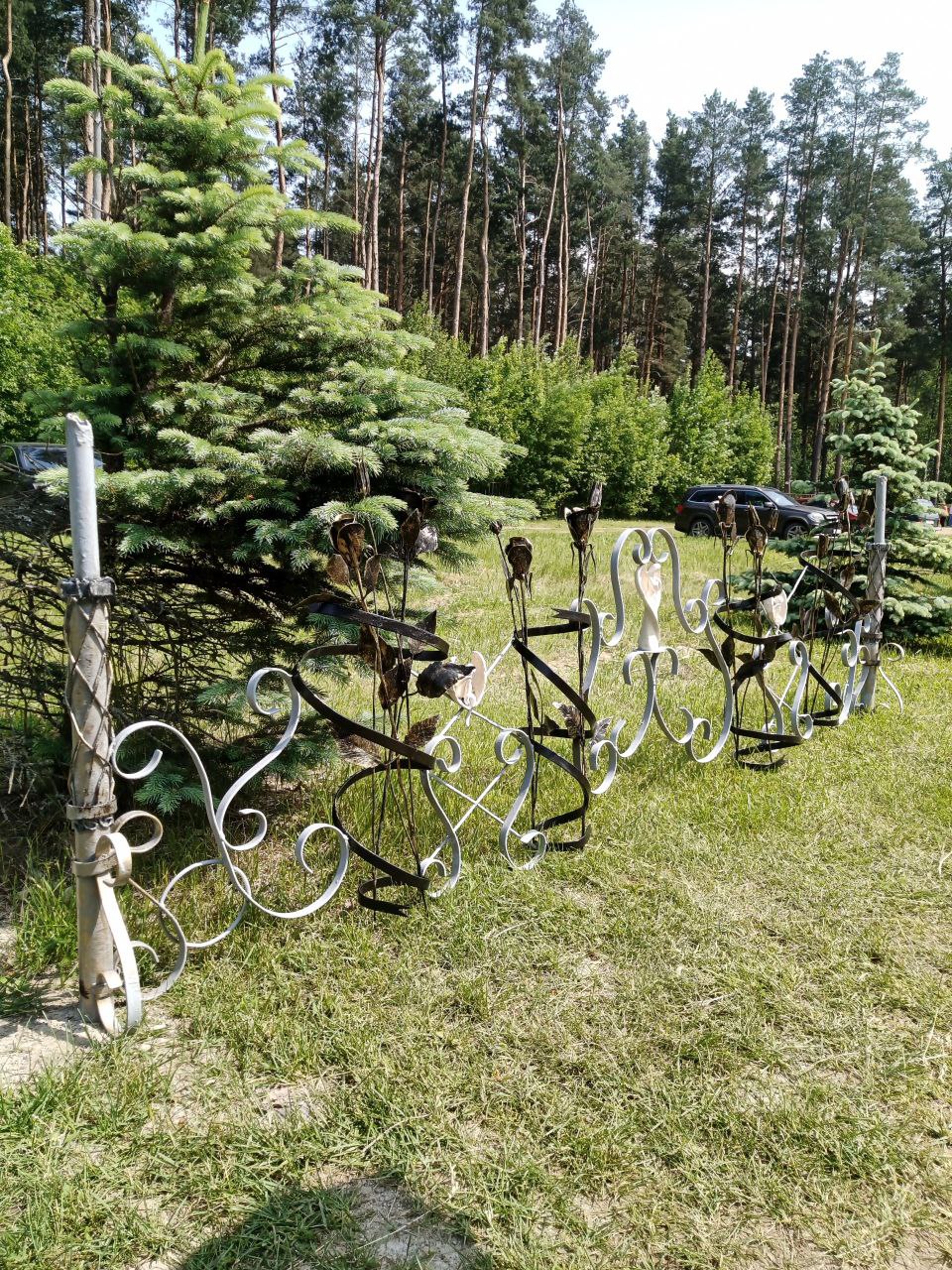 Кованый декоративный забор с кустами розами «Лесная коллекция»